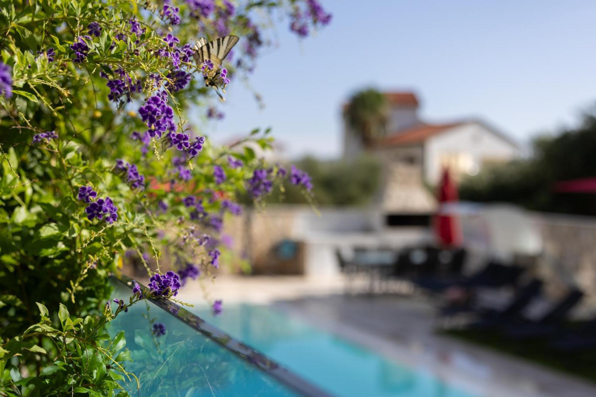 Villa Aqua Zaboric Luaran gambar